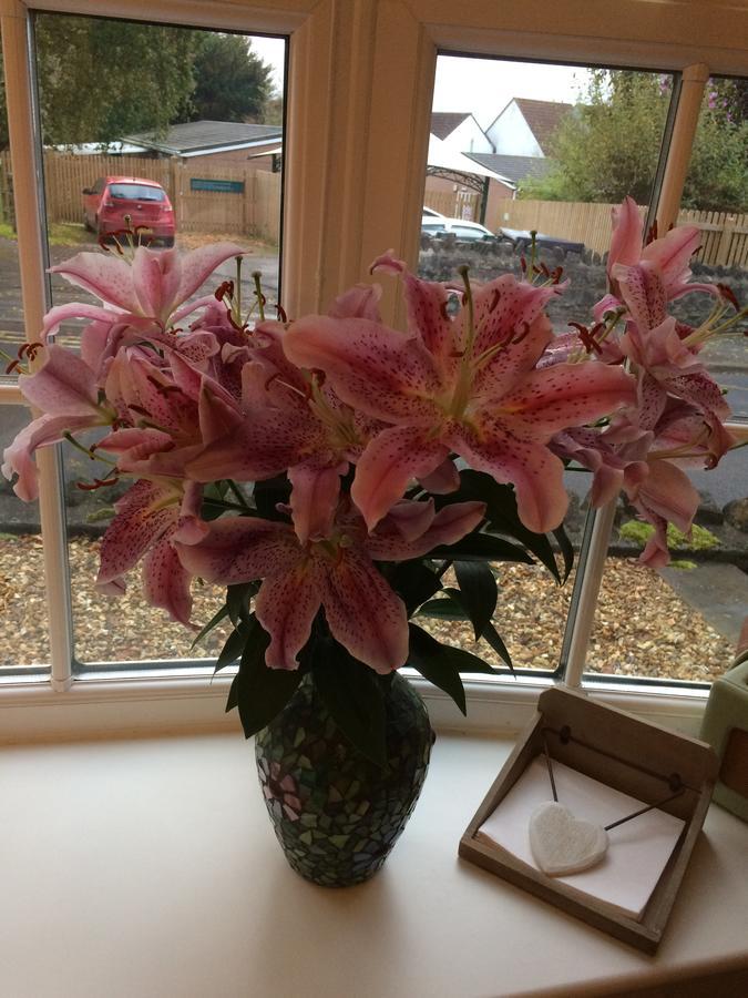School Farm Bed & Breakfast Blagdon Екстериор снимка